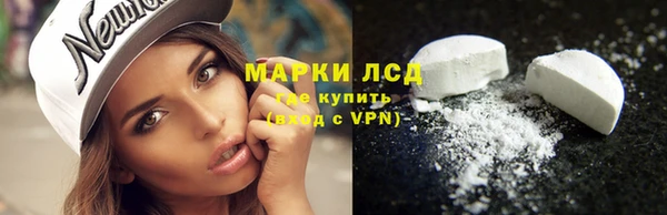 ГАЛЛЮЦИНОГЕННЫЕ ГРИБЫ Волосово