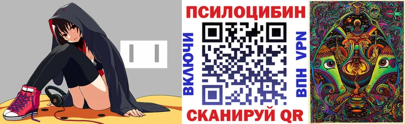 Купить  Катав-Ивановск  Галлюциногенные грибы Psilocybine cubensis 